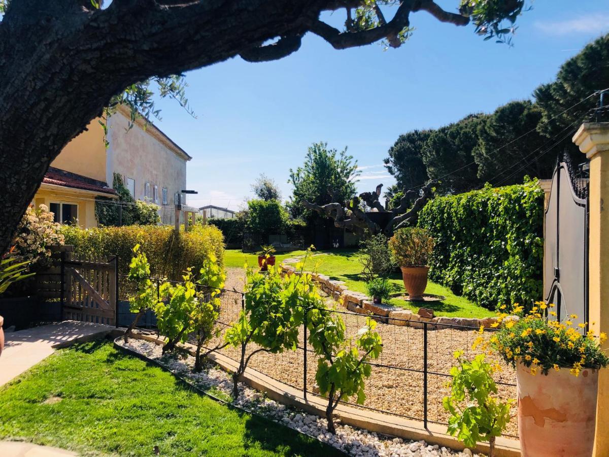 Douceur Du Sud, Entre Mer Et Campagne Hyères Exteriör bild